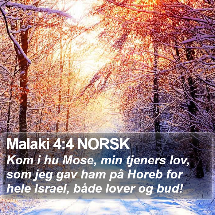 Malaki 4:4 NORSK Bible Study