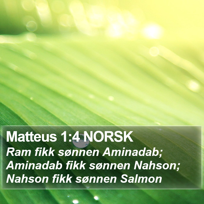 Matteus 1:4 NORSK Bible Study