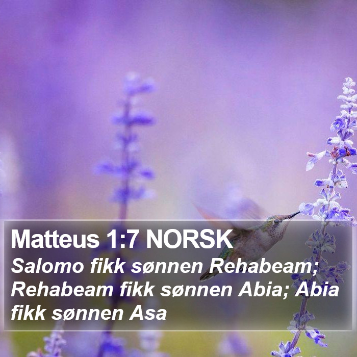 Matteus 1:7 NORSK Bible Study