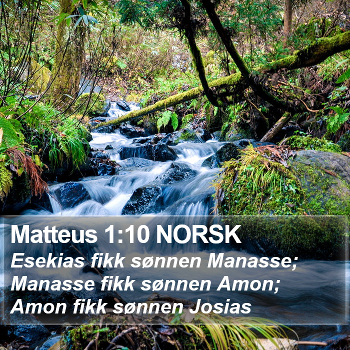 Matteus 1:10 NORSK Bible Study