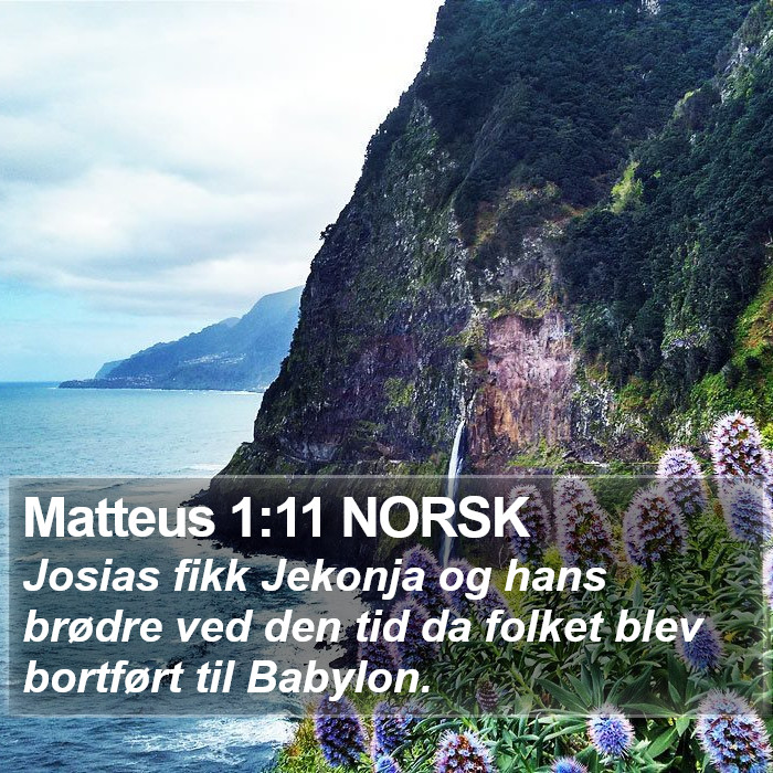 Matteus 1:11 NORSK Bible Study