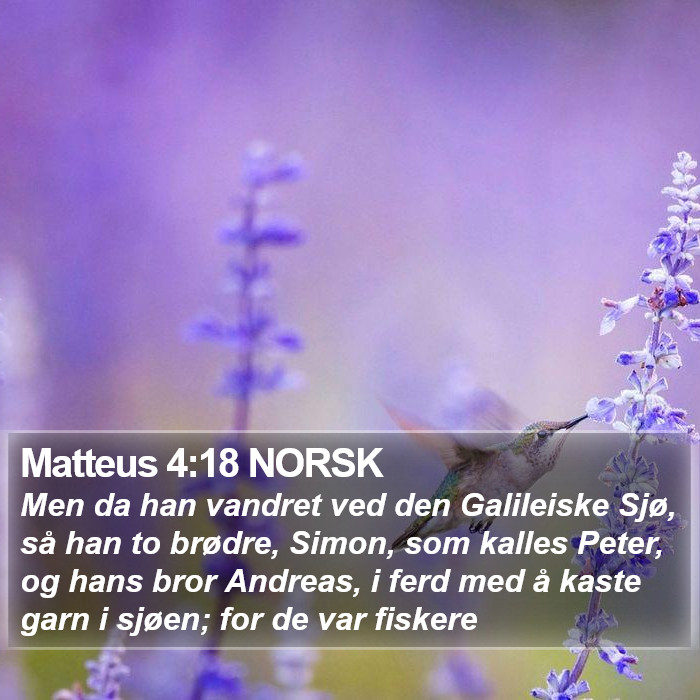 Matteus 4:18 NORSK Bible Study