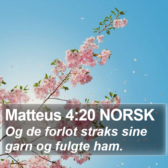 Matteus 4:20 NORSK Bible Study