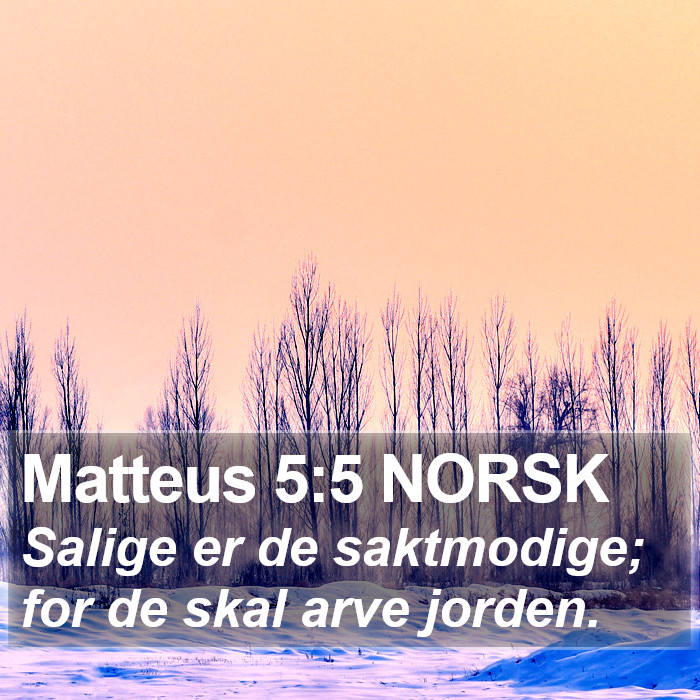 Matteus 5:5 NORSK Bible Study