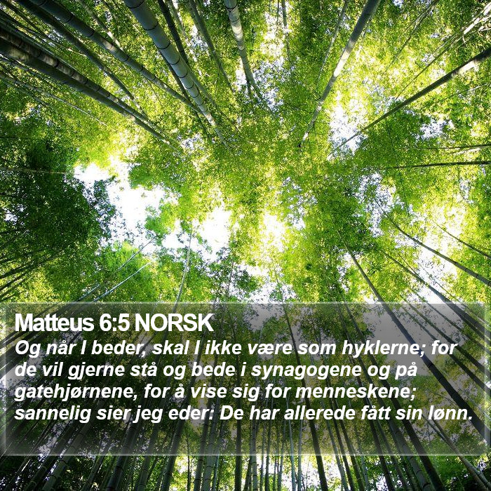 Matteus 6:5 NORSK Bible Study
