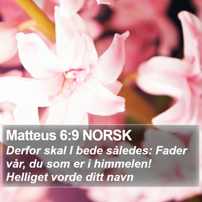 Matteus 6:9 NORSK Bible Study
