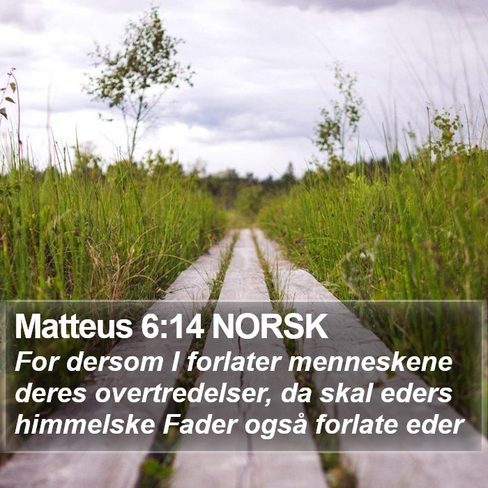 Matteus 6:14 NORSK Bible Study