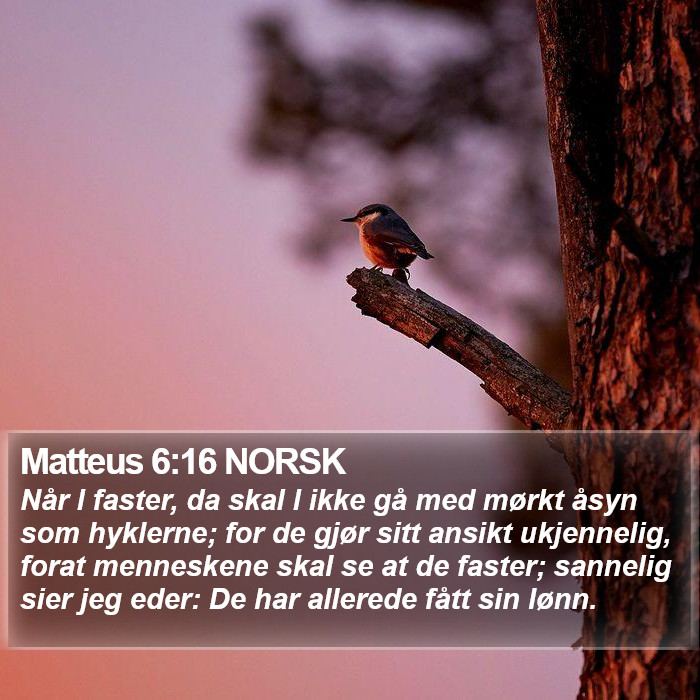 Matteus 6:16 NORSK Bible Study