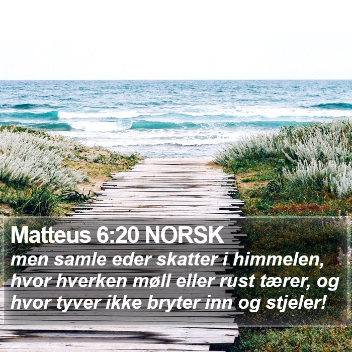 Matteus 6:20 NORSK Bible Study