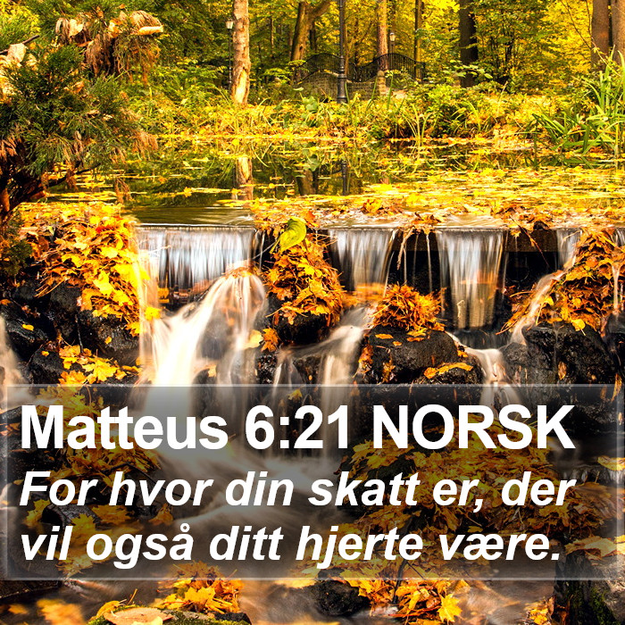 Matteus 6:21 NORSK Bible Study