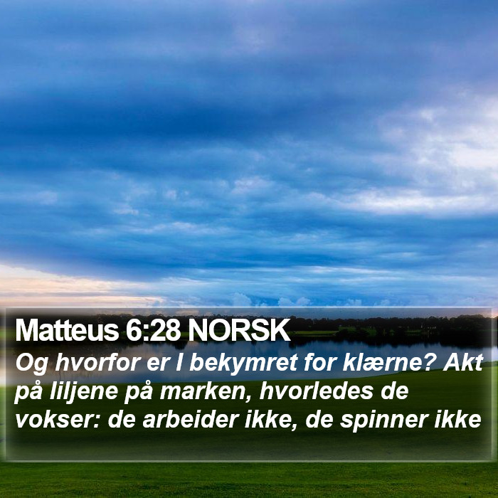 Matteus 6:28 NORSK Bible Study