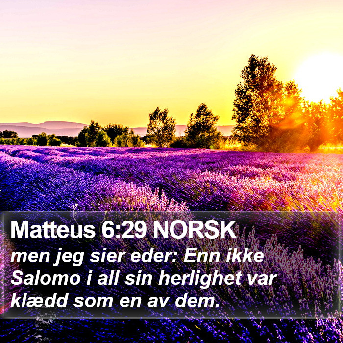 Matteus 6:29 NORSK Bible Study