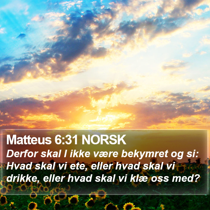 Matteus 6:31 NORSK Bible Study