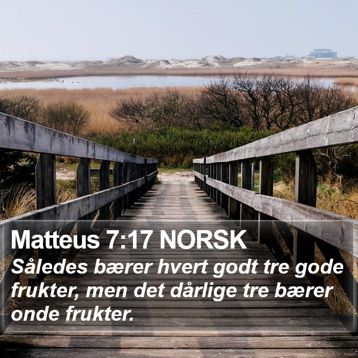Matteus 7:17 NORSK Bible Study