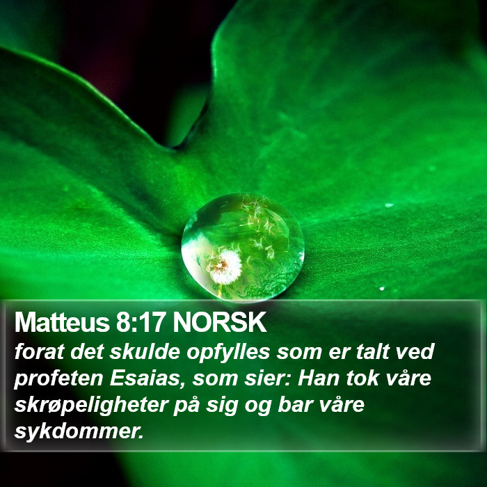 Matteus 8:17 NORSK Bible Study
