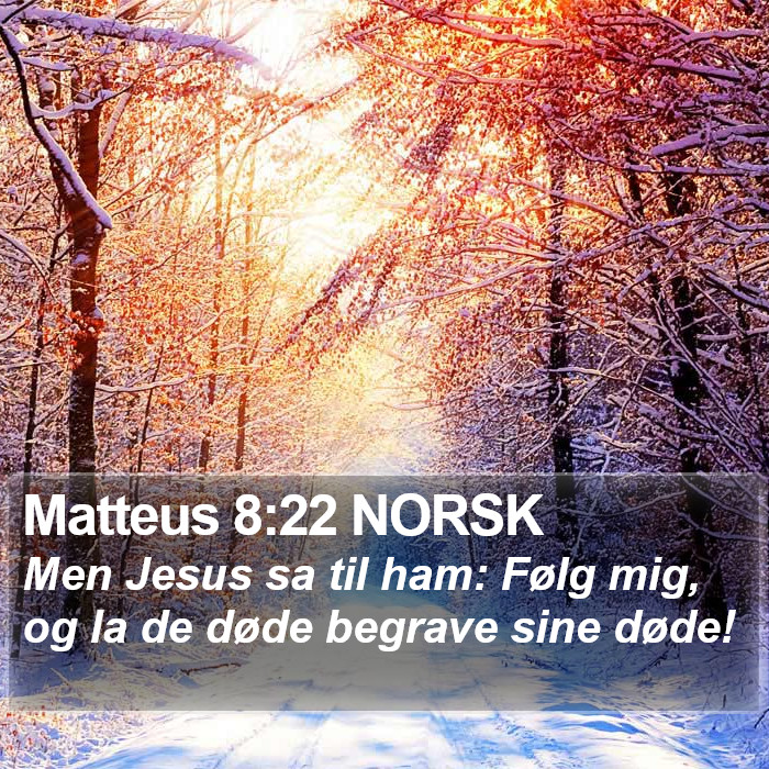 Matteus 8:22 NORSK Bible Study