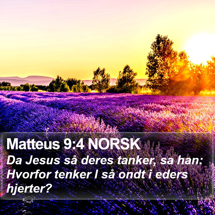 Matteus 9:4 NORSK Bible Study