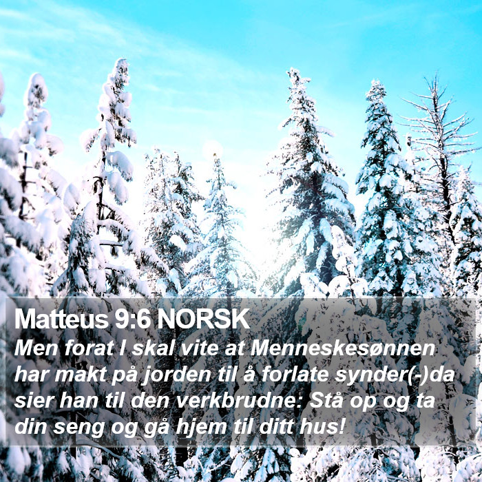 Matteus 9:6 NORSK Bible Study