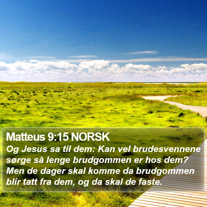 Matteus 9:15 NORSK Bible Study