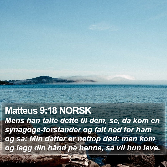 Matteus 9:18 NORSK Bible Study