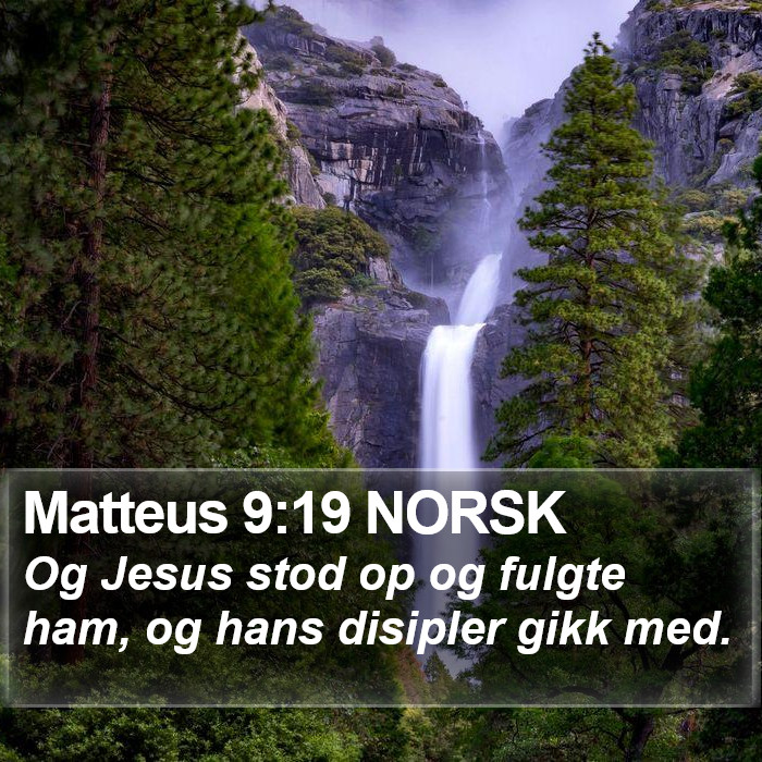 Matteus 9:19 NORSK Bible Study