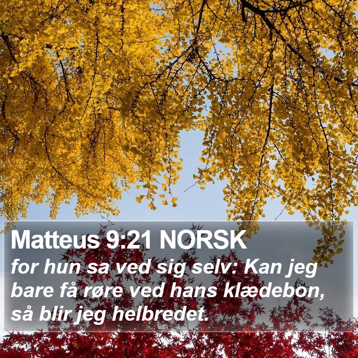 Matteus 9:21 NORSK Bible Study