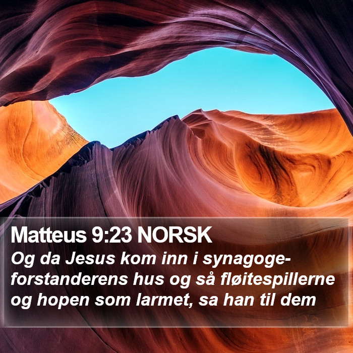 Matteus 9:23 NORSK Bible Study