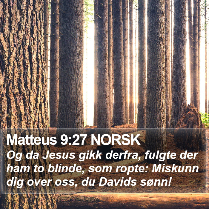 Matteus 9:27 NORSK Bible Study