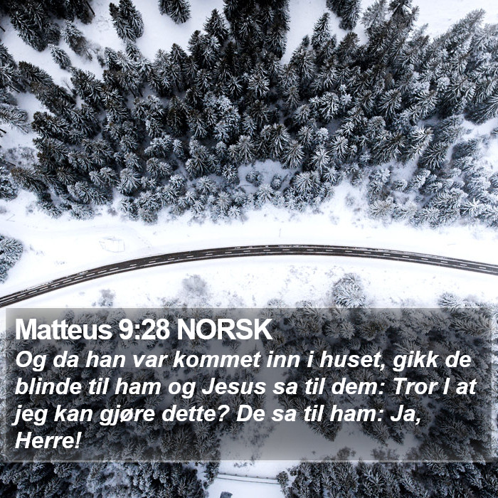 Matteus 9:28 NORSK Bible Study