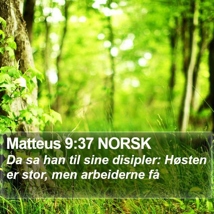 Matteus 9:37 NORSK Bible Study