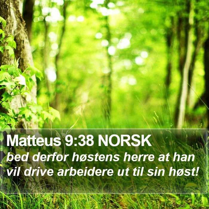 Matteus 9:38 NORSK Bible Study