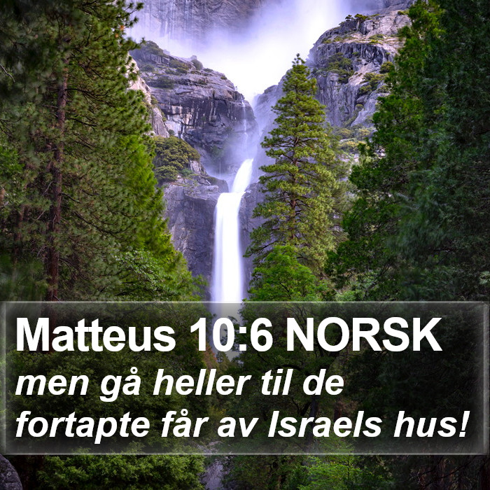 Matteus 10:6 NORSK Bible Study