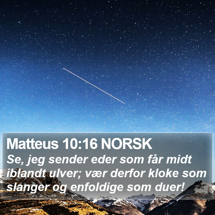 Matteus 10:16 NORSK Bible Study