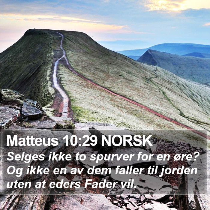 Matteus 10:29 NORSK Bible Study