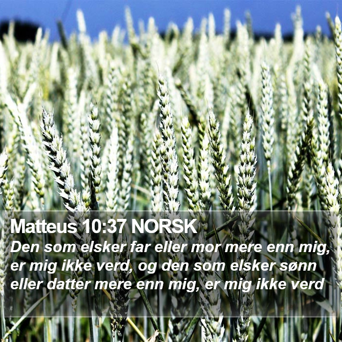 Matteus 10:37 NORSK Bible Study