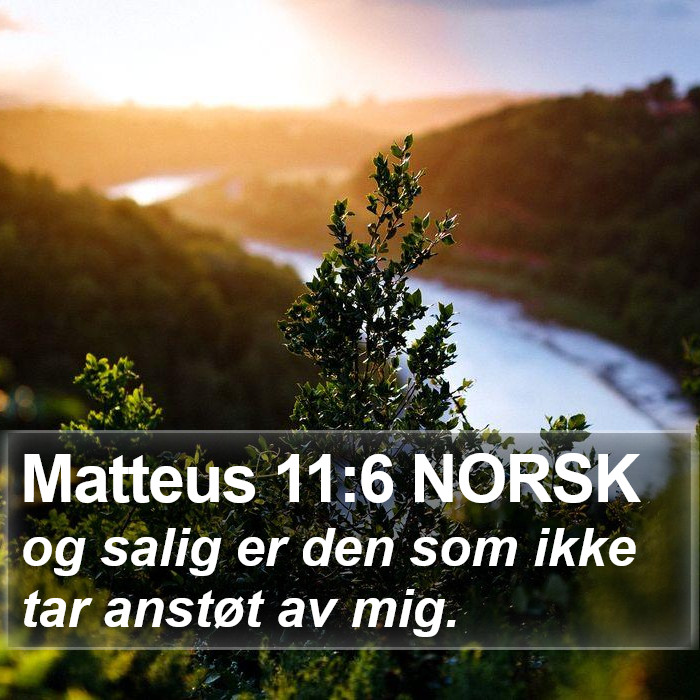 Matteus 11:6 NORSK Bible Study