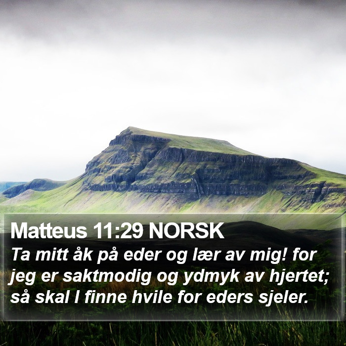 Matteus 11:29 NORSK Bible Study