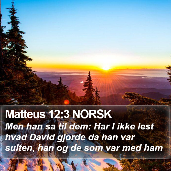 Matteus 12:3 NORSK Bible Study