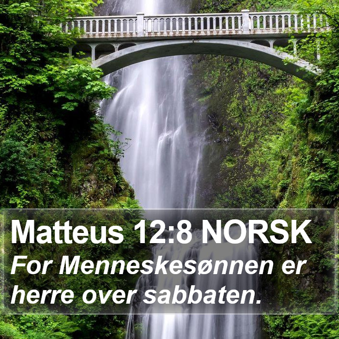 Matteus 12:8 NORSK Bible Study