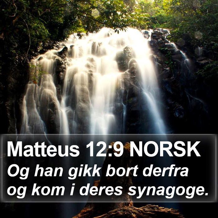 Matteus 12:9 NORSK Bible Study