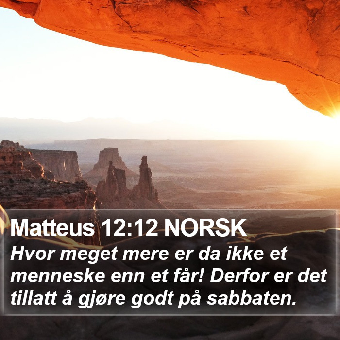 Matteus 12:12 NORSK Bible Study