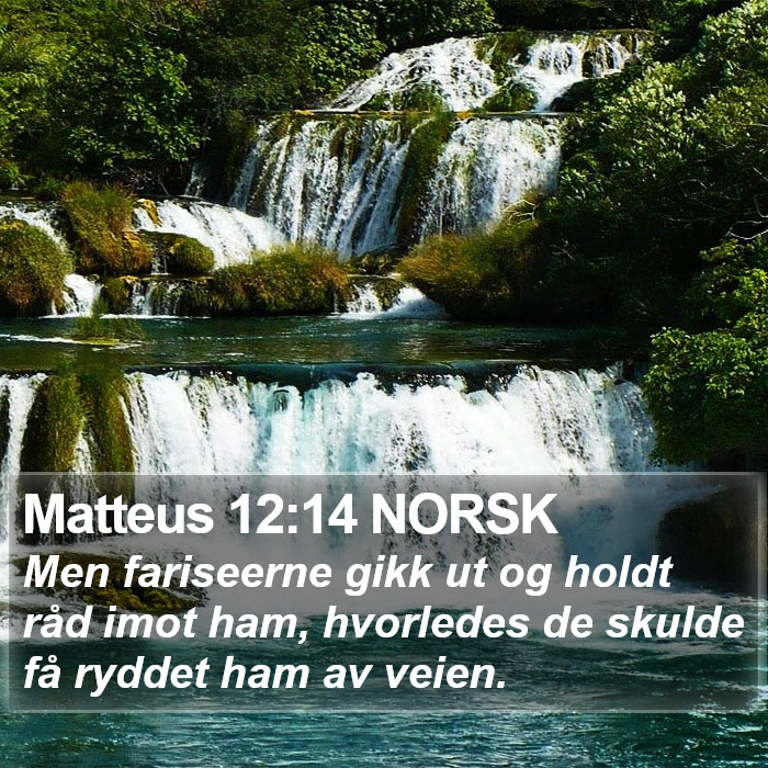 Matteus 12:14 NORSK Bible Study