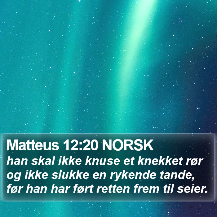 Matteus 12:20 NORSK Bible Study