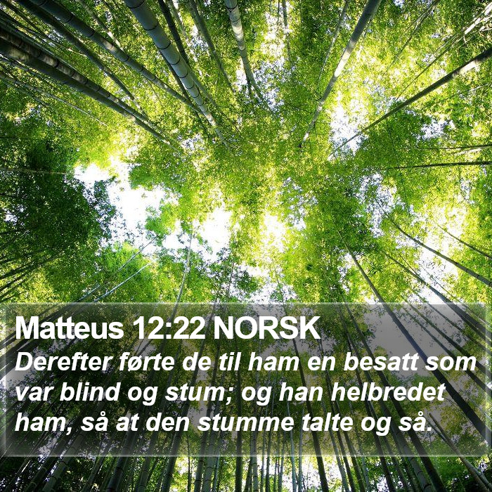 Matteus 12:22 NORSK Bible Study