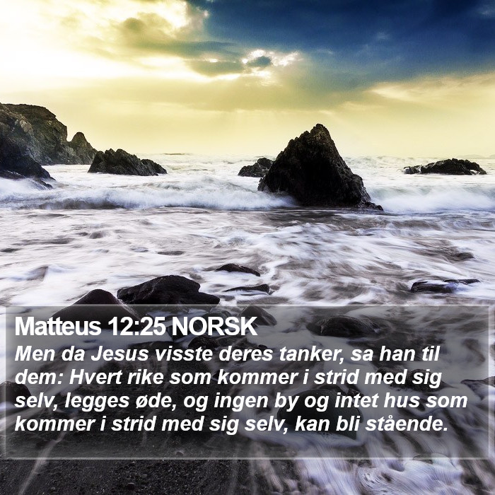 Matteus 12:25 NORSK Bible Study