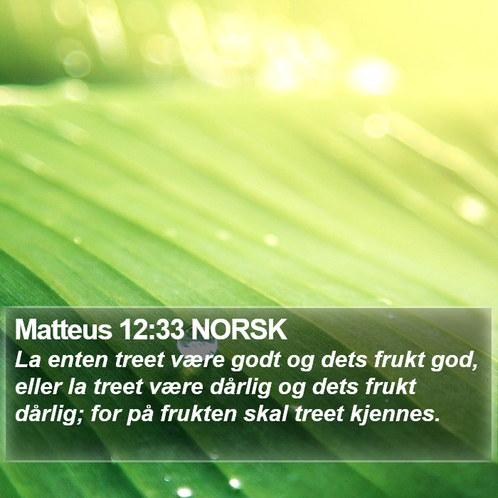 Matteus 12:33 NORSK Bible Study