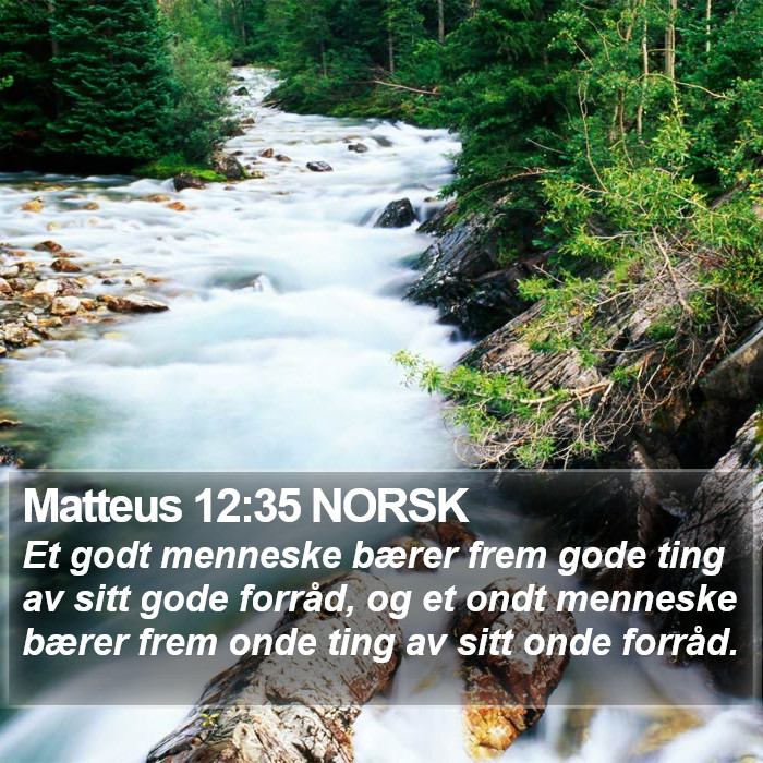 Matteus 12:35 NORSK Bible Study