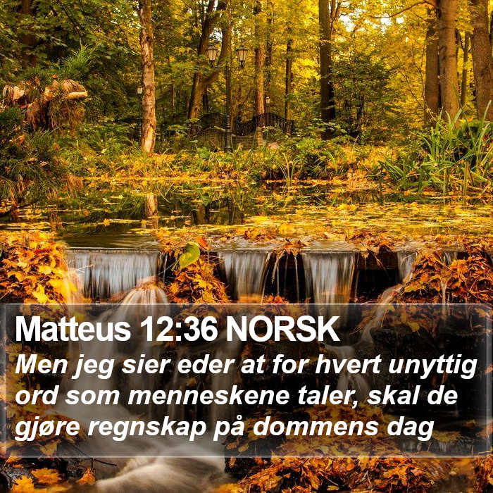 Matteus 12:36 NORSK Bible Study