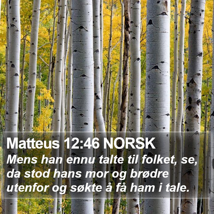 Matteus 12:46 NORSK Bible Study