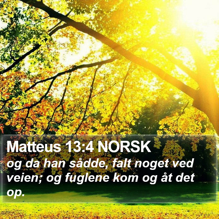 Matteus 13:4 NORSK Bible Study